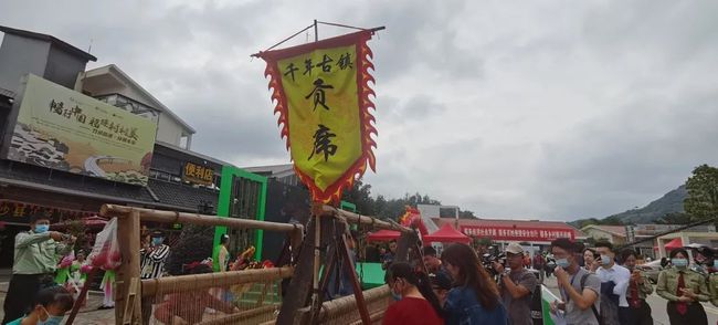 下载 (21).jpg